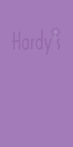 ACTAEA Simplex (Atropurpurea Group) 'Chocoholic'